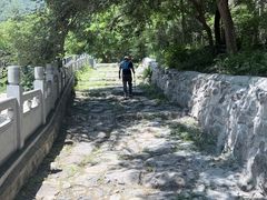 -阳台山自然风景区