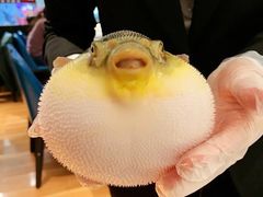 -肆月河豚·新淮扬(金融街店)