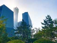 -中央广播电视总台(光华路办公区)