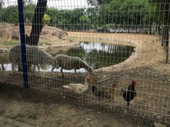 -东郊湿地公园
