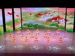 -中央芭蕾舞团·中芭艺蕾(酒仙桥明星校区)