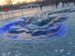 -长春市南湖公园