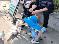 -天津妈祖文化园