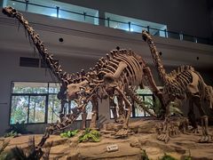 -自贡恐龙博物馆