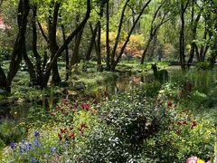 -上海共青森林公园