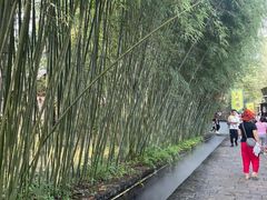 -竹泉村旅游度假区