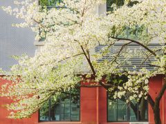 -四川大学(望江校区)