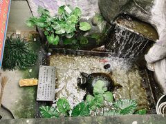 -汴河街