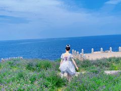 -养马岛旅游度假区