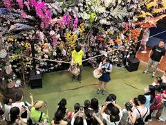 -正佳雨林生态植物园