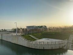 -合肥滨湖国家森林公园