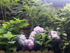 -秀水人家