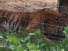 -秦皇岛野生动物园