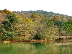 -白马涧龙池景区