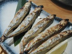 -吉川居酒屋(建国北路店)