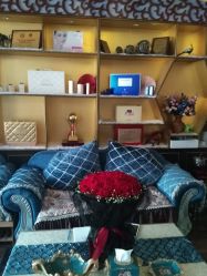 -归真美学颜究中心