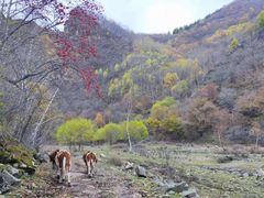 -承德避暑山庄景区