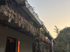-湘力力小院·鱼汤泡饭(枫林路店)