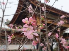 -宝墨园景区