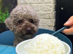 -My Way Town买味堂·东南亚餐厅(亦庄店)