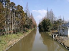 -上海长兴岛郊野公园