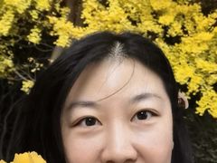 -西清公园