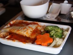 -新加坡航空公司(ION)