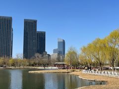 -西海子公园