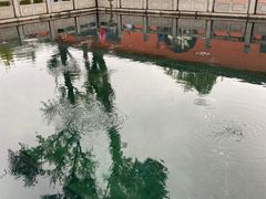 -百脉泉景区