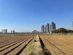 -光明小镇欢乐田园