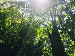 -七仙岭温泉国家森林公园