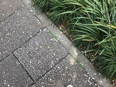 -杭州西湖风景名胜区-钱祠表忠