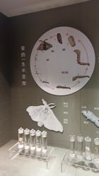 -太湖雪蚕桑文化园