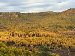 -莫尔道嘎国家森林公园