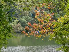 -杭州半山国家森林公园