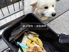 -瑞虹新天地月亮湾