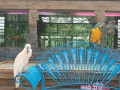 -南宫五洲植物乐园