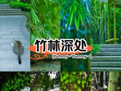-晓港公园