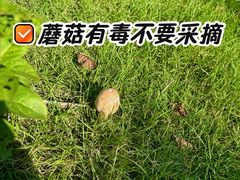 -滨湖塘西河公园