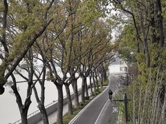 -上海美帆帆船露营基地