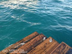 -中央格兰德岛温泉度假酒店 - 全包