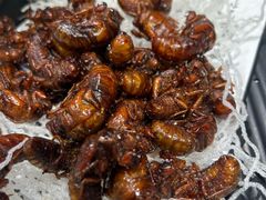 -渔码头食府·20年蓬莱老字号(登州路店)