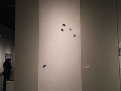 -江苏省美术馆(长江路新馆)