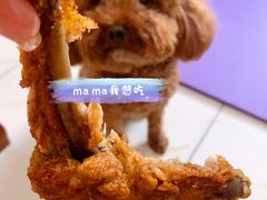 -潘老大炸鸡腿(九狮桥街店)