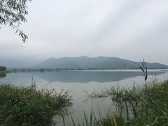 -长兴太湖图影湿地文化园