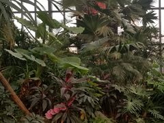 -郑州银基黄帝宫御温泉