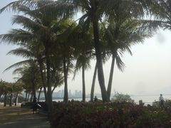 -深圳湾公园(南山区)