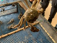 -秋月舫(阳澄湖湖滨中路店)