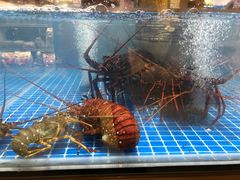 -七鲜超市(通州ONE店)