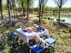-马家湾湿地公园